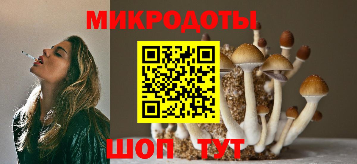 Элиста  Галлюциногенные грибы прущие грибы  Вход с VPN 